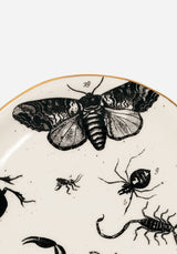 Parasite Bugs Print Trinket Dish