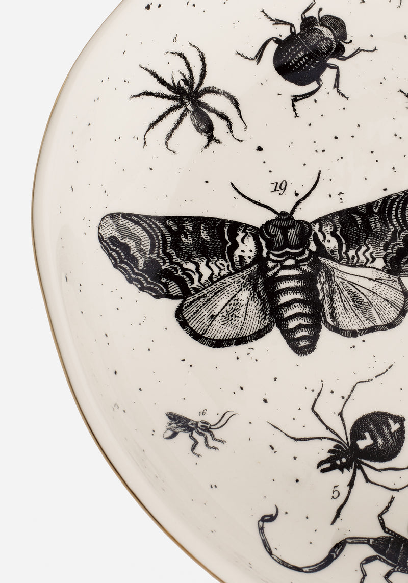 Parasite Bugs Print Plate