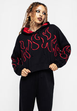 Blaze Crop Knit Hoody