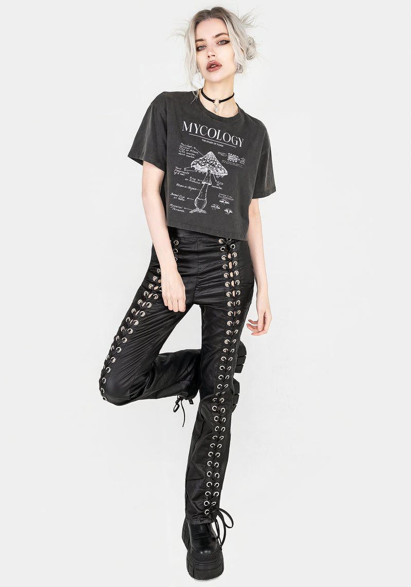 Mycology Boxy Crop T-shirt