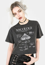 Mycology Kastenförmig Kurz T-Shirt