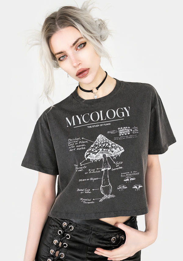 Mycology Kastenförmig Kurz T-Shirt