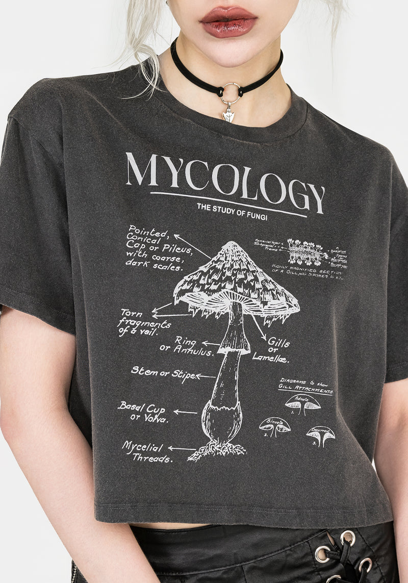 Mycology Kastenförmig Kurz T-Shirt